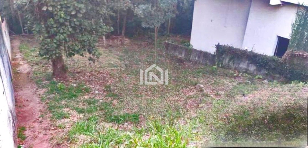 terreno 1
