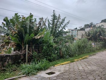 land_lot em Rodovia Virgílio Várzea, Saco Grande - Florianópolis - SC