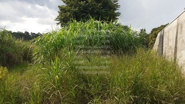 commercial_land_lot em Armando Capelato, Vale Verde - Valinhos - SP