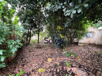 land_lot em Rua Antonio de Mendonça, Chácara Bela Vista - Campinas - SP