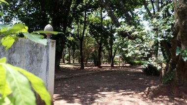agricultural em Rua Moema, Chácaras Moema - Araçatuba - SP
