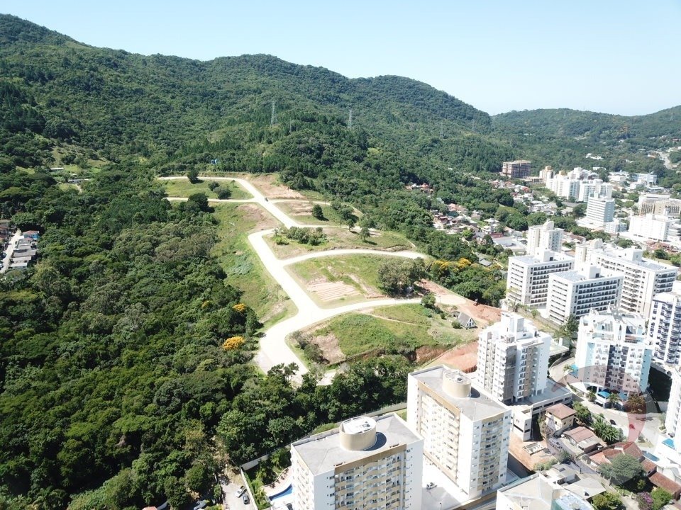 DESTAQUE