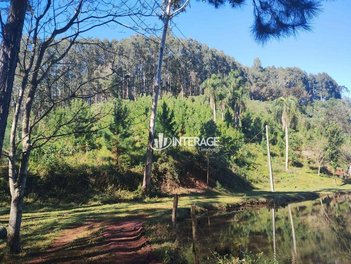 land_lot em Rua São Paulo, Jardim Esmeralda - Campo Largo - PR