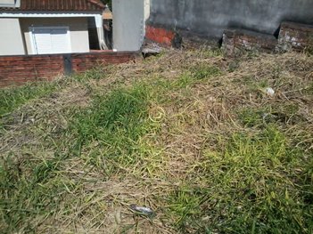 land_lot em Rua Raul Jordão, Parque Peruche - São Paulo - SP