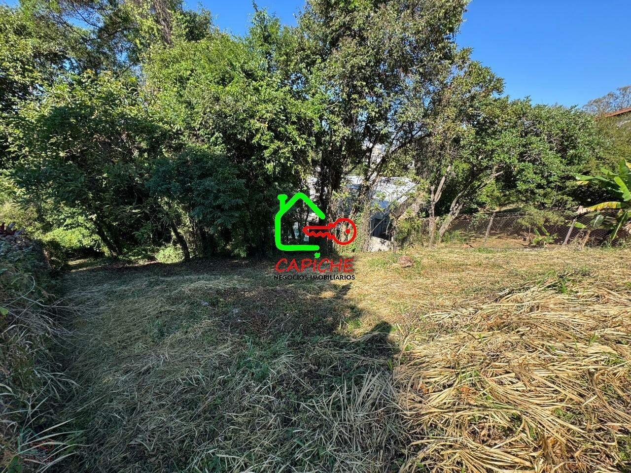 image-0