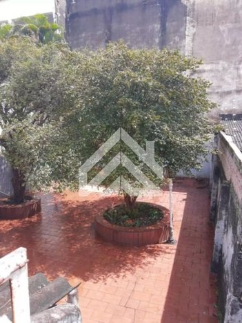 house em Rua 6, Zona Central - Rio Claro - SP