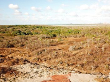 land_lot em CE-156, Parada - São Gonçalo do Amarante - CE