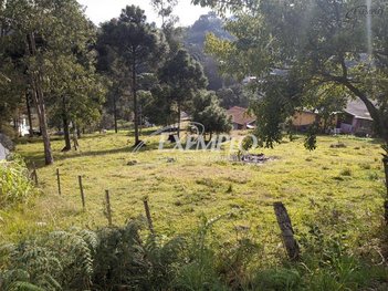 land_lot em Rodovia BR-116, Vila Cristina - Caxias do Sul - RS