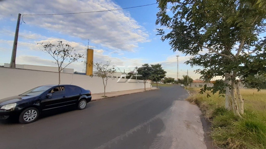Vista da frente olhando para baixo