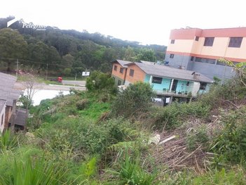 land_lot em Rua Senador Alberto Pasqualini, São Ciro - Caxias do Sul - RS