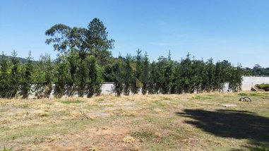 commercial_building em Galeão, Invernada - Embu das Artes - SP