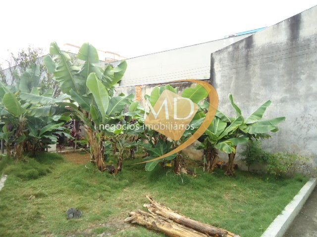 DSC07439