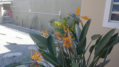 house em Avenida Radiante, Praia do Sonho - Palhoça - SC