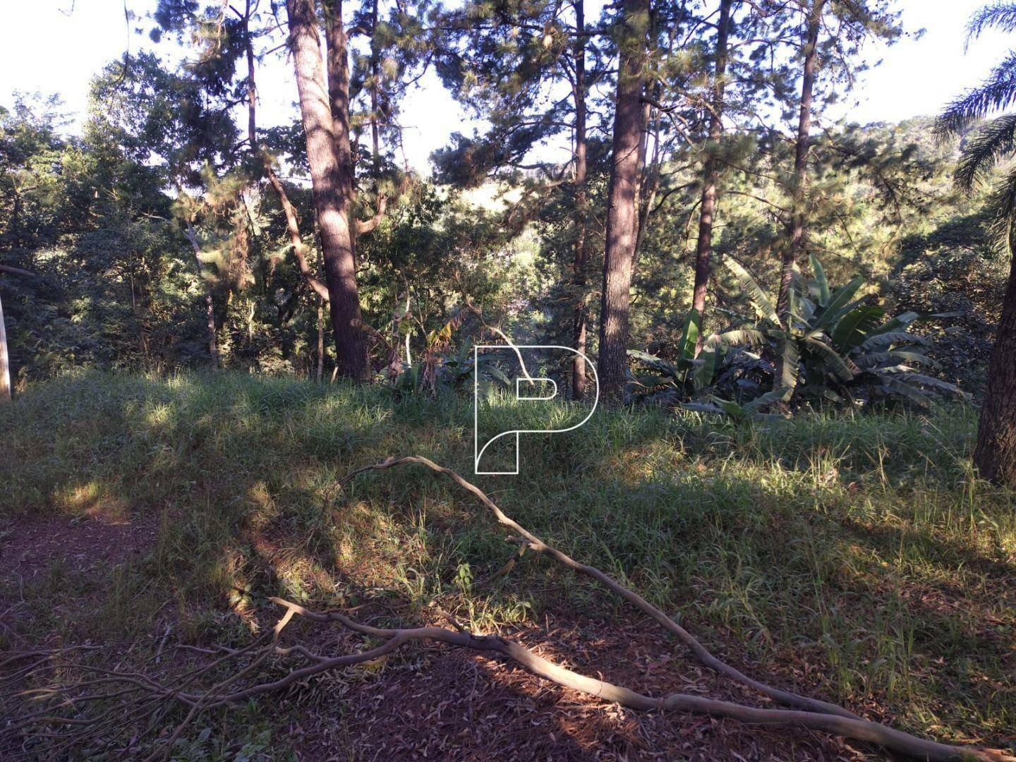 image-0