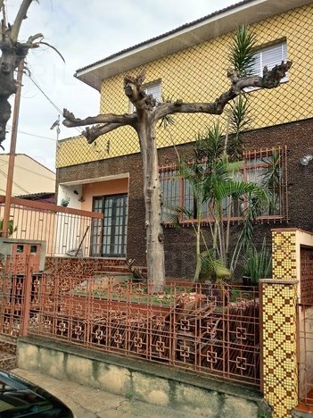 house em Rua Papoula, Jardim das Flores - Osasco - SP