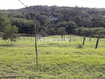 land_lot em Avenida Belém Velho, Vila Nova - Porto Alegre - RS