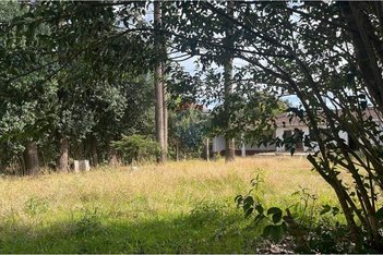 land_lot em Rua Miguel Zanon, São Dimas - Colombo - PR