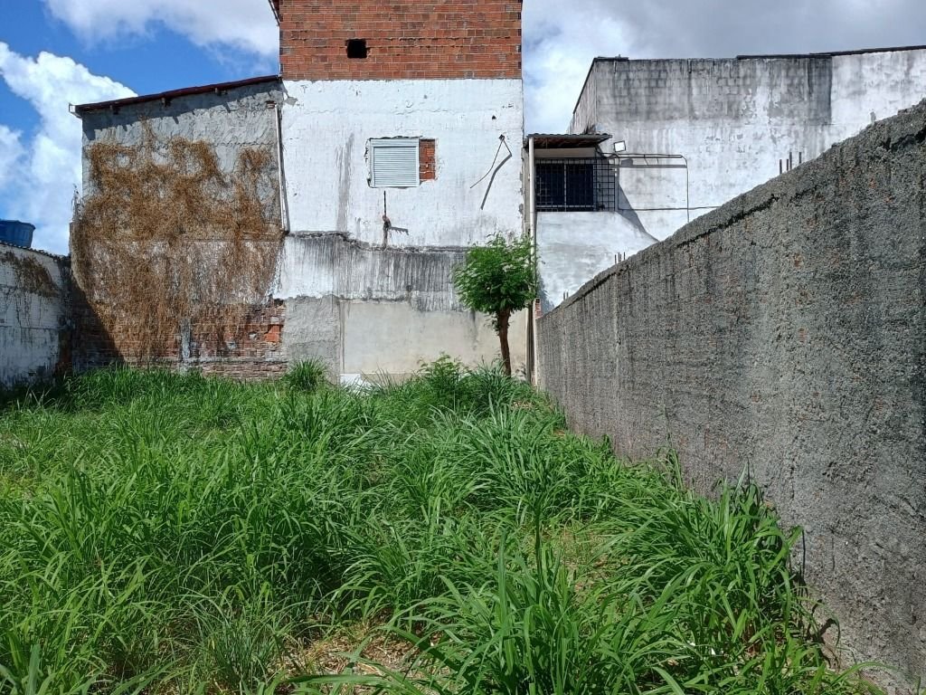 | Foto_migracao | 4