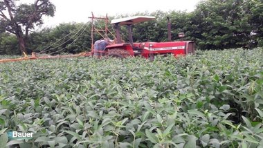 commercial_building em Theodomiro Delegá, Chácaras Recanto Solar - Nova Odessa - SP