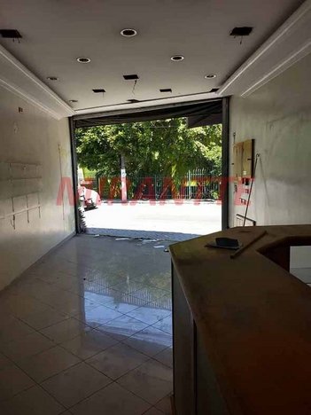 business em Domingos Calheiros, Tucuruvi - São Paulo - SP