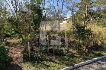 land_lot em Servidão Pedro Manoel Borba, Pântano do Sul - Florianópolis - SC