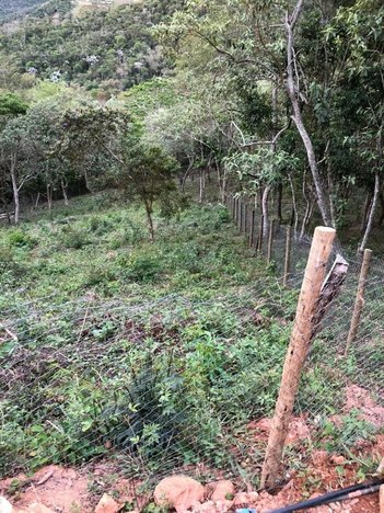 land_lot em Estrada das Pedras Negras, Itaipava - Petrópolis - RJ