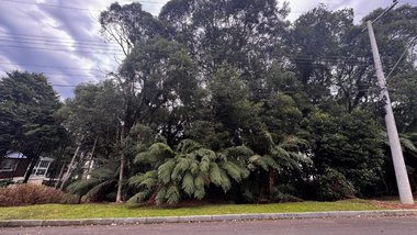 land_lot em Rua Laurindo Comiotto, Lagos do Bosque - Gramado - RS