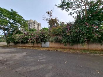 land_lot em Avenida Luiz Carvalho Netto, Vila Girassol - Araraquara - SP