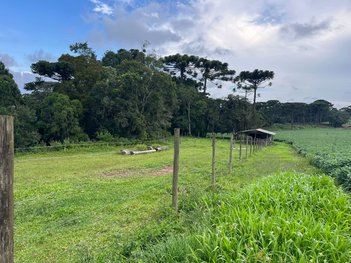 land_lot em Rua João Kosiak, São Marcos - São José dos Pinhais - PR