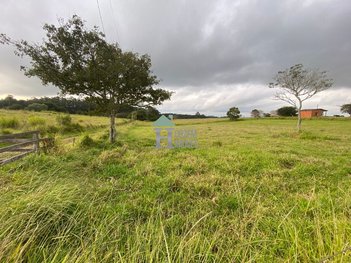 agricultural em Estrada dos Caetanos, Passo da Areia I (Passo da Areia) - Viamão - RS