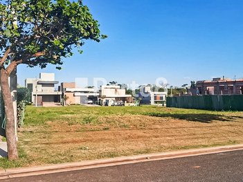 land_lot em Avenida Projetada 3, Terras Alphaville Mirassol - Mirassol - SP