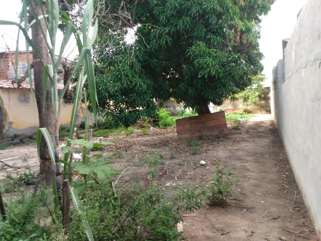 | Foto_migracao | 3