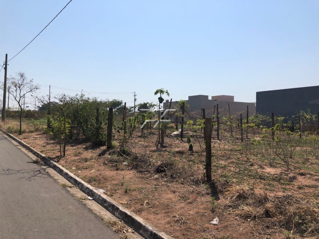 Lote Misto - 10 x 25
