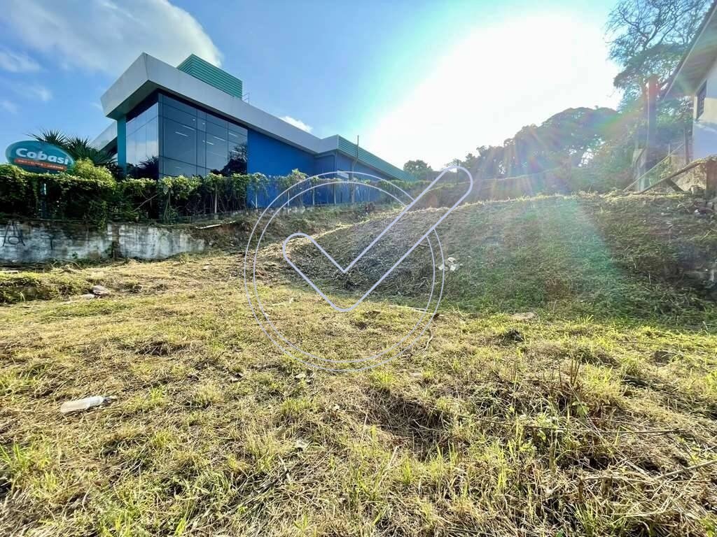 WhatsApp Image 2025-01-14 at 19.02