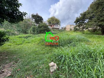 land_lot em Rua José Trevisan, Centro - Vinhedo - SP