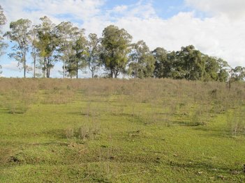 land_lot em Sargento Otacilio Pereira, Menino Deus - Bagé - RS