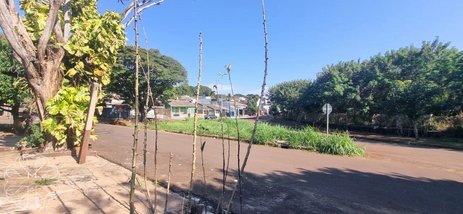 land_lot em Rua Pioneiro Antonio Allai, Parque Residencial Tuiuti - Maringá - PR