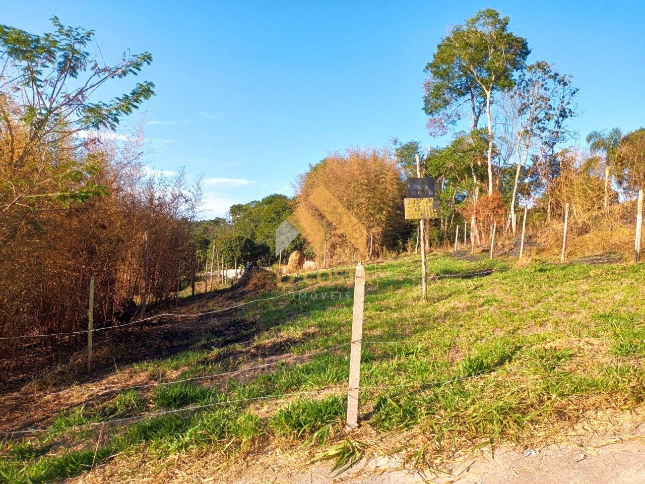 Terreno