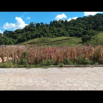 land_lot em Fazenda Vau Açu Km 6, Vau Açú - Ponte Nova - MG