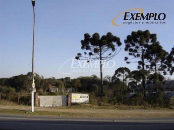 land_lot em Avenida Itália, São Pelegrino - Caxias do Sul - RS