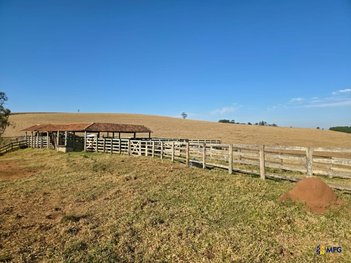 agricultural em Área Rural, Área Rural de Capão Bonito - Capão Bonito - SP