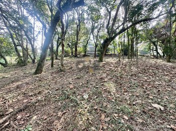 land_lot em Estrada Fernando Nobre, Parque Rincão - Cotia - SP