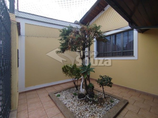 WhatsApp Image 2025-07-10 at 13.22