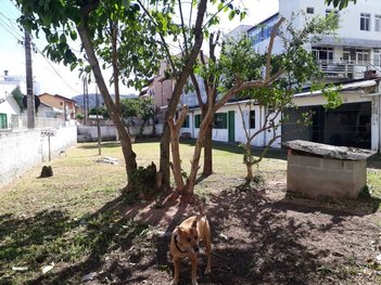 land_lot em Servidão João Neves Correia, Kobrasol - São José - SC