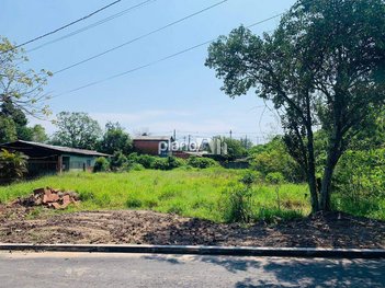 land_lot em Rua Guadalajara, Passo das Pedras - Gravataí - RS