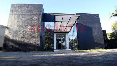 business em Guatemala, Jardim América - São Paulo - SP