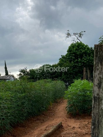 land_lot em Rua Abissínia, Petrópolis - Novo Hamburgo - RS