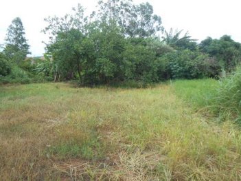 land_lot em Rua Maria Pacheco Barros, Jardim Residencial Flora - Limeira - SP