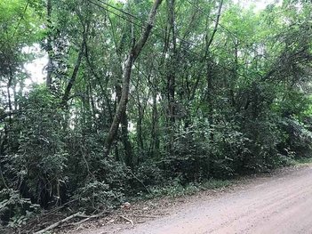 land_lot em Alberto Adolpho Fruchtenicht, Campestre - São Leopoldo - RS