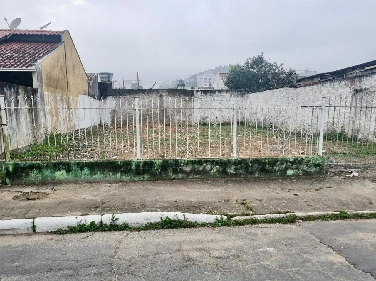 WhatsAppImage2025-11-26at10.43